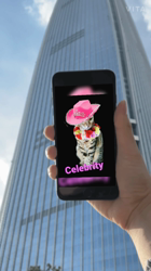 堀川洋子ブリーダーからお迎えしたベンガル：Cherie   (シェリー)ちゃん