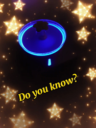 西川眞由美ブリーダーからお迎えしたベンガル：レオンくん