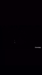 石床みさ江ブリーダーからお迎えしたトイプードル：バニラちゃん