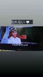 石床みさ江ブリーダーからお迎えしたトイプードル：バニラちゃん