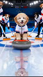 渡邊舞ブリーダーからお迎えしたトイプードル：ひなちゃん