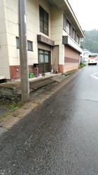 深田晶子ブリーダーからお迎えした柴犬：小鉄くん