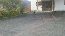 深田晶子ブリーダーからお迎えした柴犬：小鉄くん