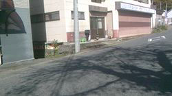 深田晶子ブリーダーからお迎えした柴犬：小鉄くん