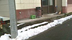 深田晶子ブリーダーからお迎えした柴犬：小鉄くん