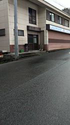 深田晶子ブリーダーからお迎えした柴犬：小鉄くん