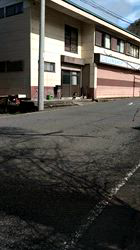 深田晶子ブリーダーからお迎えした柴犬：小鉄くん