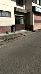 深田晶子ブリーダーからお迎えした柴犬：小鉄くん