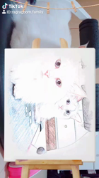 今村美由紀ブリーダーからお迎えしたラグドール：fuku.bom.Fくん