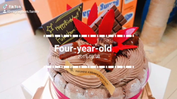 今村美由紀ブリーダーからお迎えしたラグドール：fuku.bom.Fくん