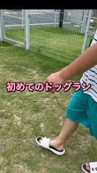 濱口美穂ブリーダーからお迎えしたミニチュアダックスフンド(ロング)：そらくん