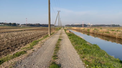 横田幸治ブリーダーからお迎えした柴犬：ポギーちゃん