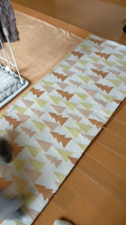 三代由紀子ブリーダーからお迎えしたトイプードル：イブちゃん