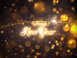 黒田千賀子ブリーダーからお迎えしたノルウェージャンフォレストキャット：ルカくん