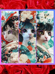 黒田千賀子ブリーダーからお迎えしたノルウェージャンフォレストキャット：ルカくん
