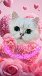 湯川裕子ブリーダーからお迎えしたノルウェージャンフォレストキャット：マロくん