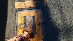 馬場加奈恵ブリーダーからお迎えしたミニチュアダックスフンド(ロング)：モコちゃん