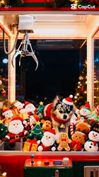 寺村智子ブリーダーからお迎えしたチワワ(ロング)：チョコちゃん