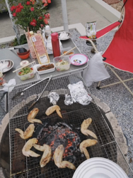 矢次祐樹ブリーダーからお迎えしたスコティッシュフォールド：ポピーくん