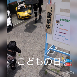 関口小満ブリーダーからお迎えしたイングリッシュコッカースパニエル：日向（ひなた）くん