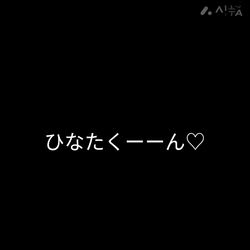 関口小満ブリーダーからお迎えしたイングリッシュコッカースパニエル：日向（ひなた）くん