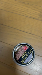 須田弘子ブリーダーからお迎えした柴犬:咲貴ちゃん