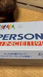 中村英裕ブリーダーからお迎えしたノルウェージャンフォレストキャット：フルちゃん
