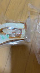 須田弘子ブリーダーからお迎えした柴犬：咲貴ちゃん