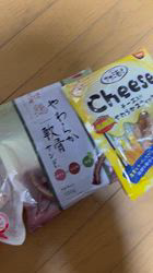 須田弘子ブリーダーからお迎えした柴犬：咲貴ちゃん