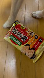 須田弘子ブリーダーからお迎えした柴犬：咲貴ちゃん