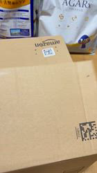 須田弘子ブリーダーからお迎えした柴犬：咲貴ちゃん