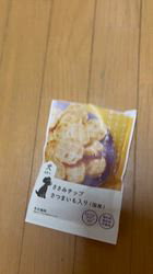 須田弘子ブリーダーからお迎えした柴犬：咲貴ちゃん