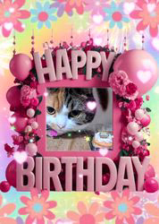 木部泉ブリーダーからお迎えしたマンチカン：ルナちゃん