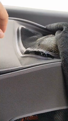 岡田勝ブリーダーからお迎えしたミニチュアシュナウザー：コハクくん