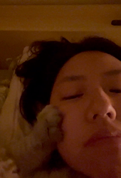 木津秀美ブリーダーからお迎えしたサイベリアン：おもちくん