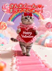 宮崎直美ブリーダーからお迎えしたマンチカン：ぷっちょちゃん