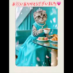 宮崎直美ブリーダーからお迎えしたマンチカン：ぷっちょちゃん