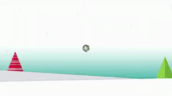 高木睦枝ブリーダーからお迎えしたペルシャ(チンチラ)：るなちゃん