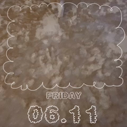 中野由利子ブリーダーからお迎えしたスコティッシュフォールド：にゃじゅくん