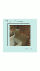 草間理恵子ブリーダーからお迎えしたエジプシャンマウ：ムーちゃん