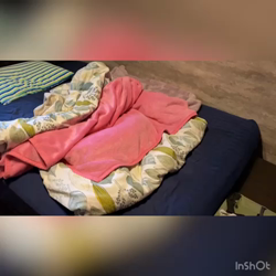 小林栄作ブリーダーからお迎えしたボストンテリア：麦くん