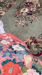 岩垣朋子ブリーダーからお迎えしたミヌエット：KOAコアくん