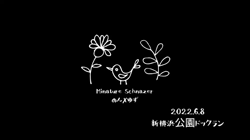 横山舞ブリーダーからお迎えしたミニチュアシュナウザー：のんちゃん