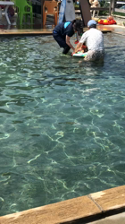 山内康裕ブリーダーからお迎えしたゴールデンレトリバー：さんたろうくん