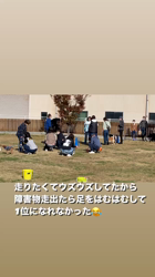 内田密信ブリーダーからお迎えした柴犬：コテツくん