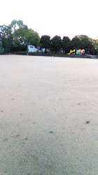 賀川正美ブリーダーからお迎えしたウェルシュ・コーギー・ペンブローク：らっきーくん