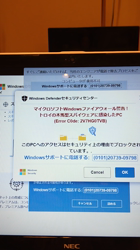 小林功ブリーダーからお迎えしたアメリカンショートヘア：レオンくん
