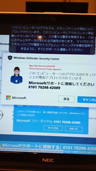 小林功ブリーダーからお迎えしたアメリカンショートヘア：レオンくん