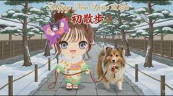 井上幸二ブリーダーからお迎えしたシェットランドシープドッグ：ななちゃん