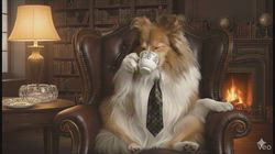 井上幸二ブリーダーからお迎えしたシェットランドシープドッグ：ななちゃん